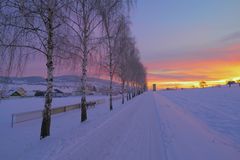 Morgenstimmung am Sportplatz