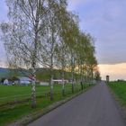 Morgenstimmung am Sportplatz