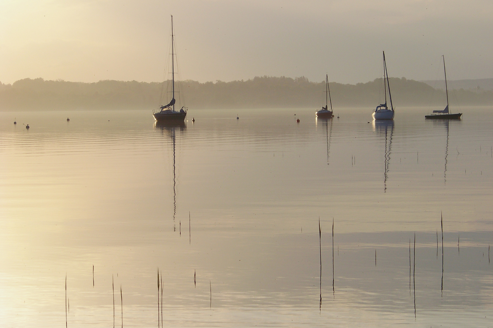 Morgenstimmung am Starnberger See