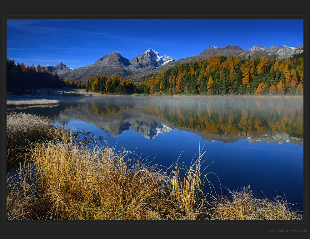 Morgenstimmung am Stazersee