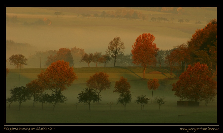 Morgenstimmung am Steinknorz