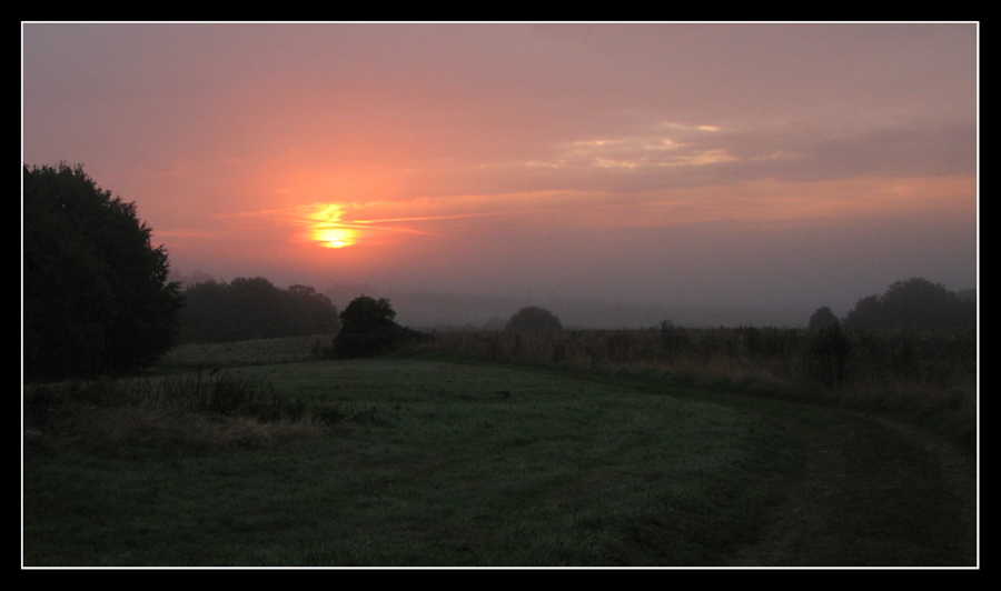 Morgenstimmung am Stockwäldchen