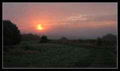 Morgenstimmung am Stockwäldchen