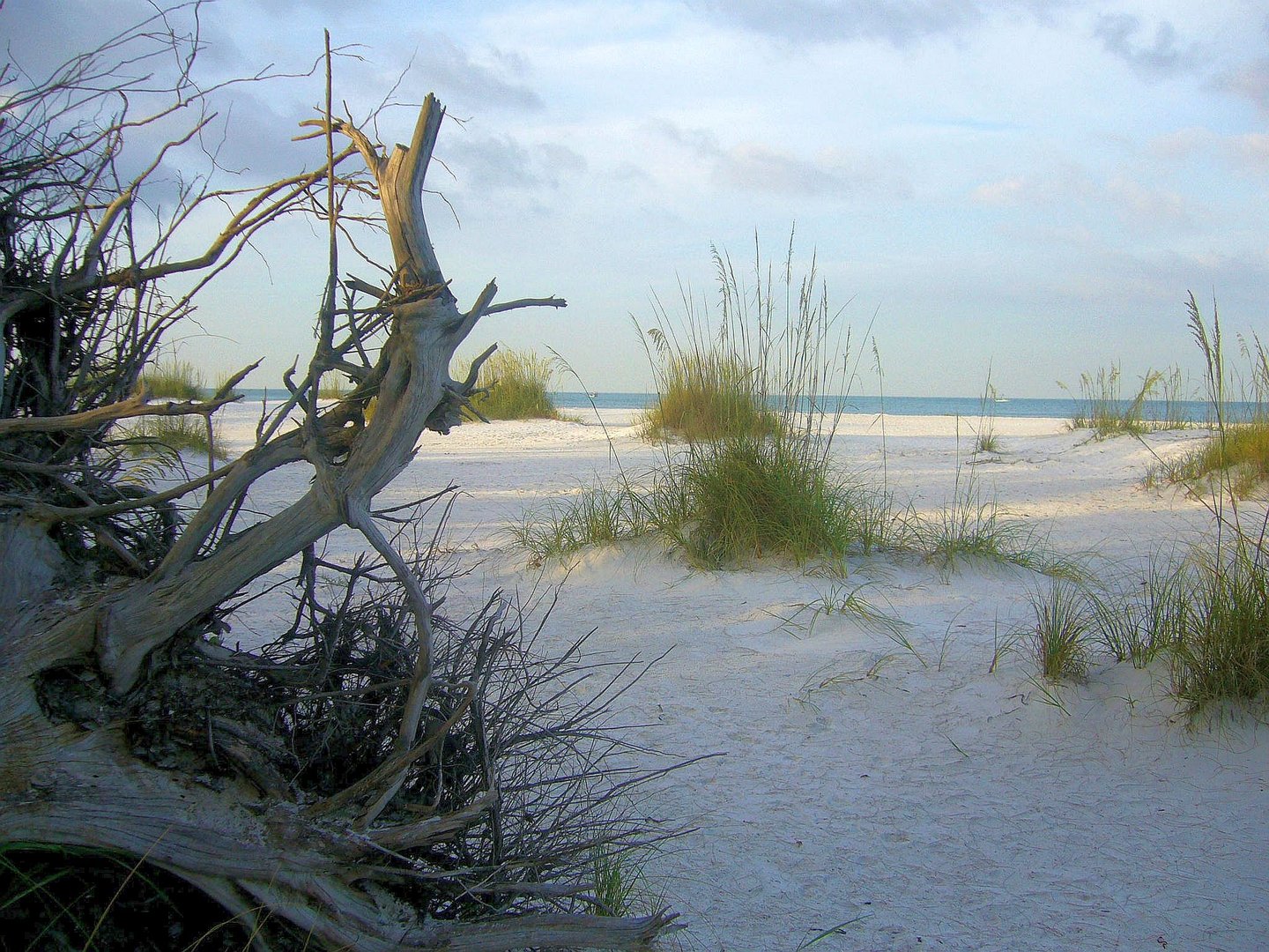 Morgenstimmung am Strand