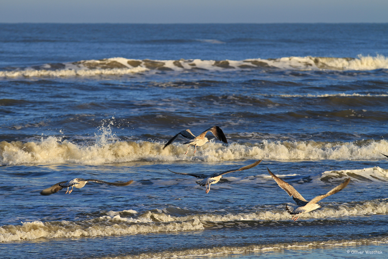 Morgenstimmung am Strand