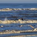 Morgenstimmung am Strand