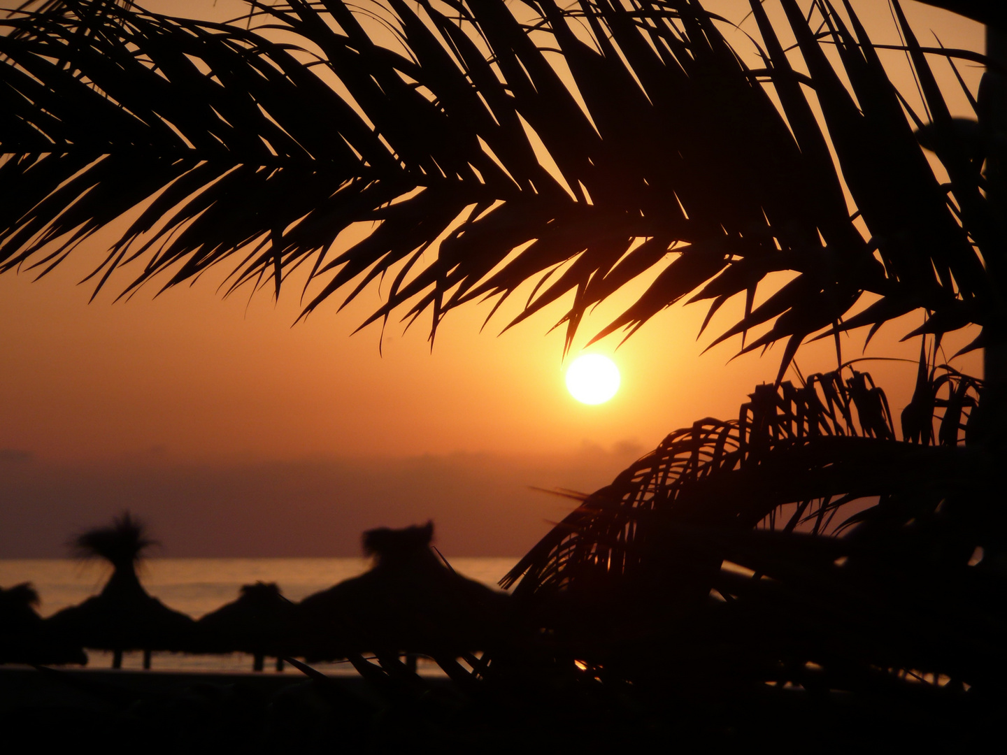 Morgenstimmung am Strand unter Palmen