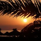 Morgenstimmung am Strand unter Palmen