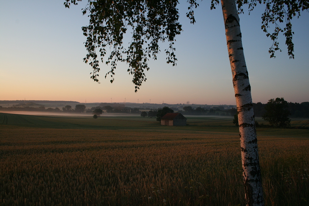 Morgenstimmung am Sudheimer Feld, Hofgeismar