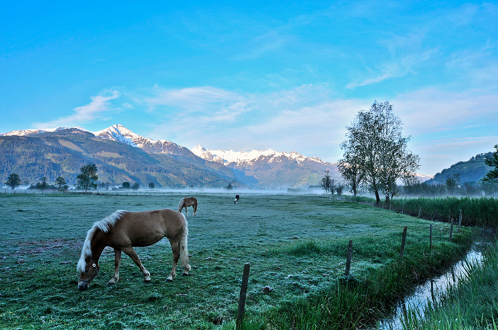 morgenstimmung am Südufer