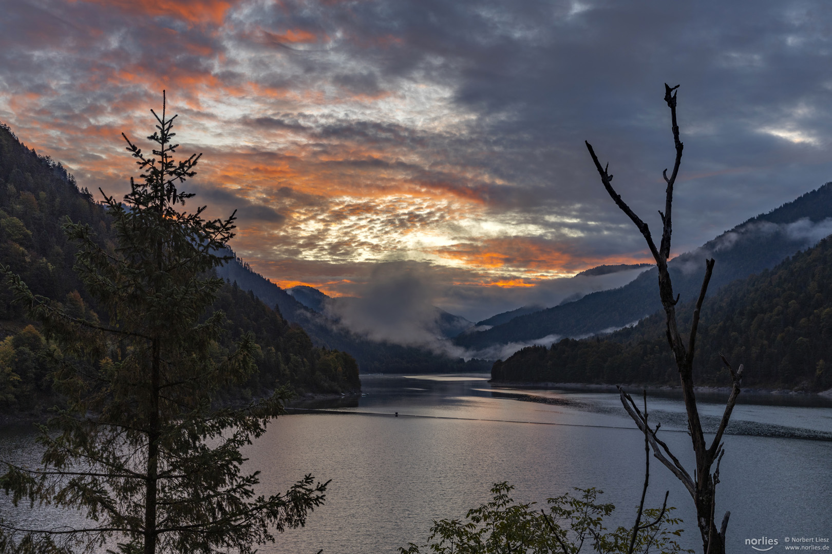 Morgenstimmung am Sylvensteinsee