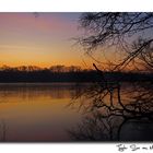 Morgenstimmung am Tegeler See