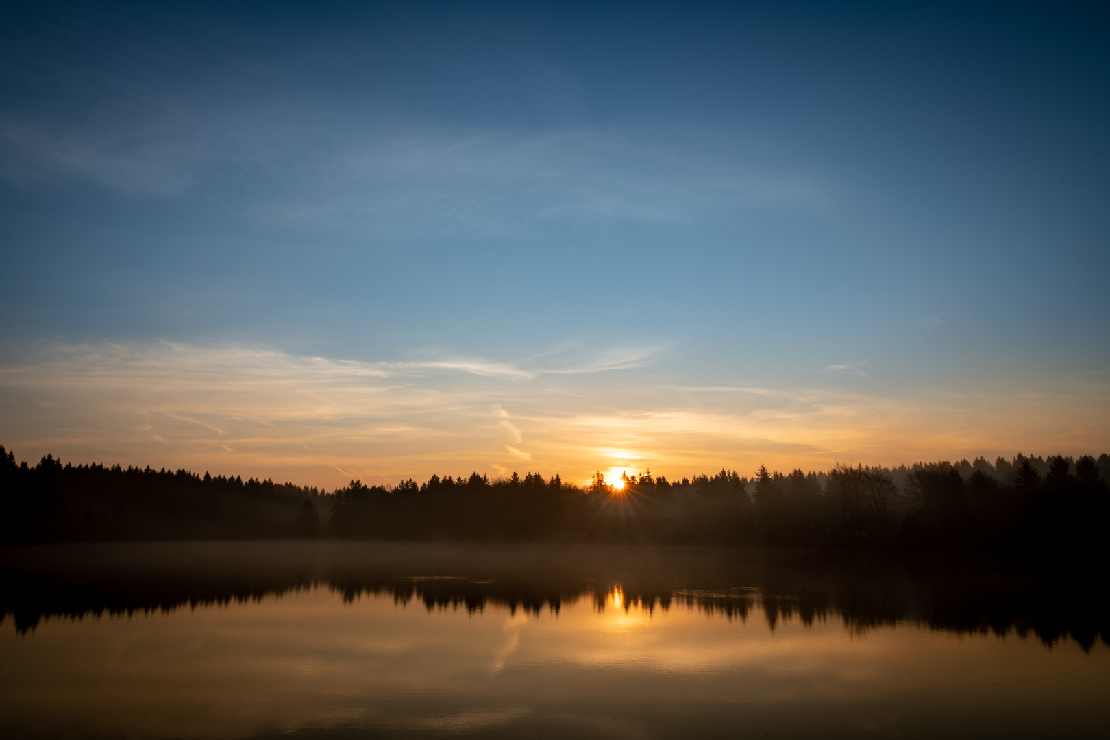 Morgenstimmung am Teich
