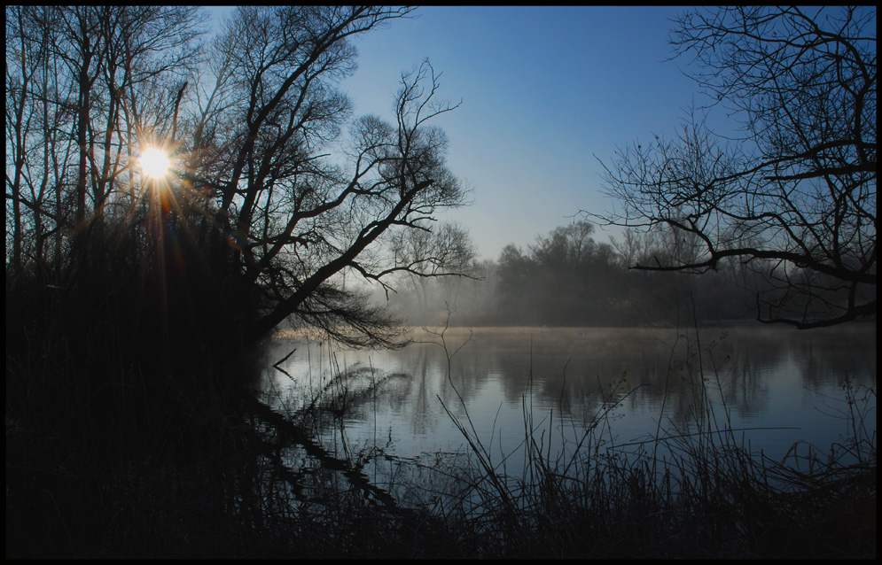 Morgenstimmung am Teich