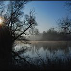 Morgenstimmung am Teich