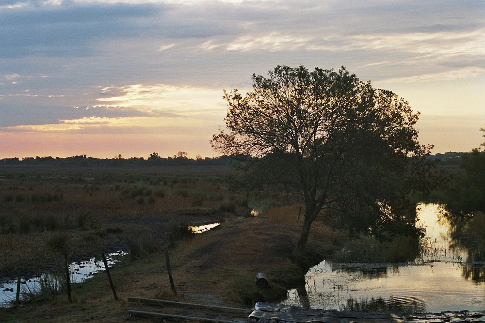 Morgenstimmung am Tour Carbonnière