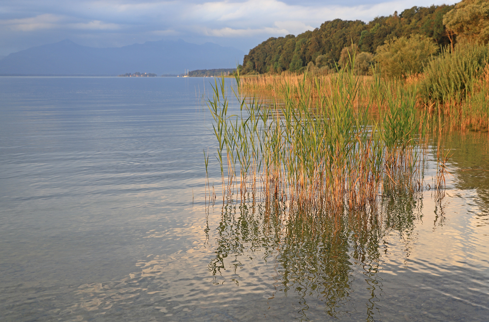 Morgenstimmung am Ufer des Chiemsees