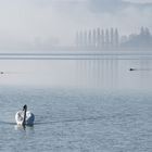 Morgenstimmung am Untersee