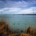 Morgenstimmung am Untersee