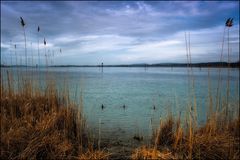 Morgenstimmung am Untersee