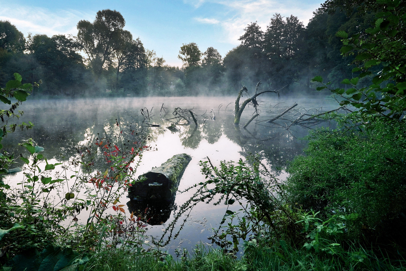 Morgenstimmung am Valznerweiher