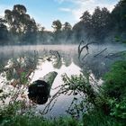 Morgenstimmung am Valznerweiher