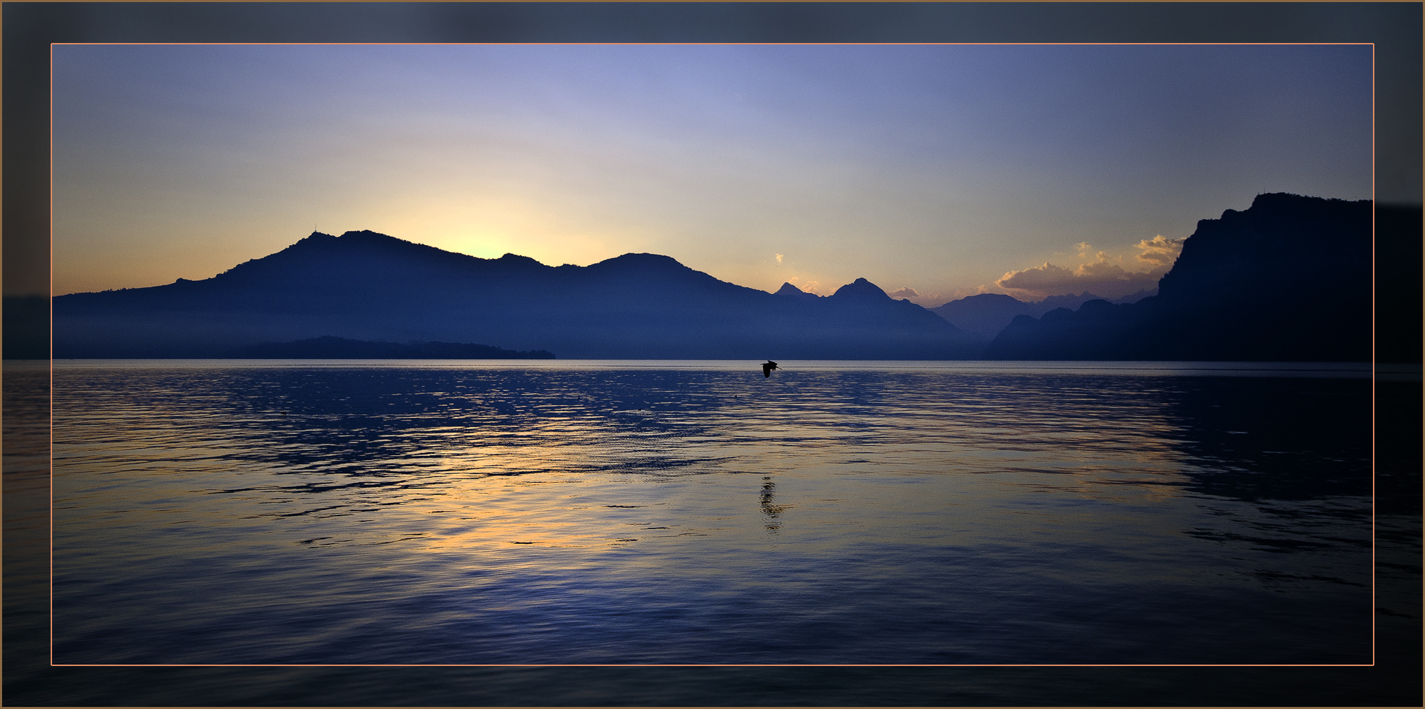 Morgenstimmung am Vierwaldstättersee - Begegnung mit einem Fischreiher.