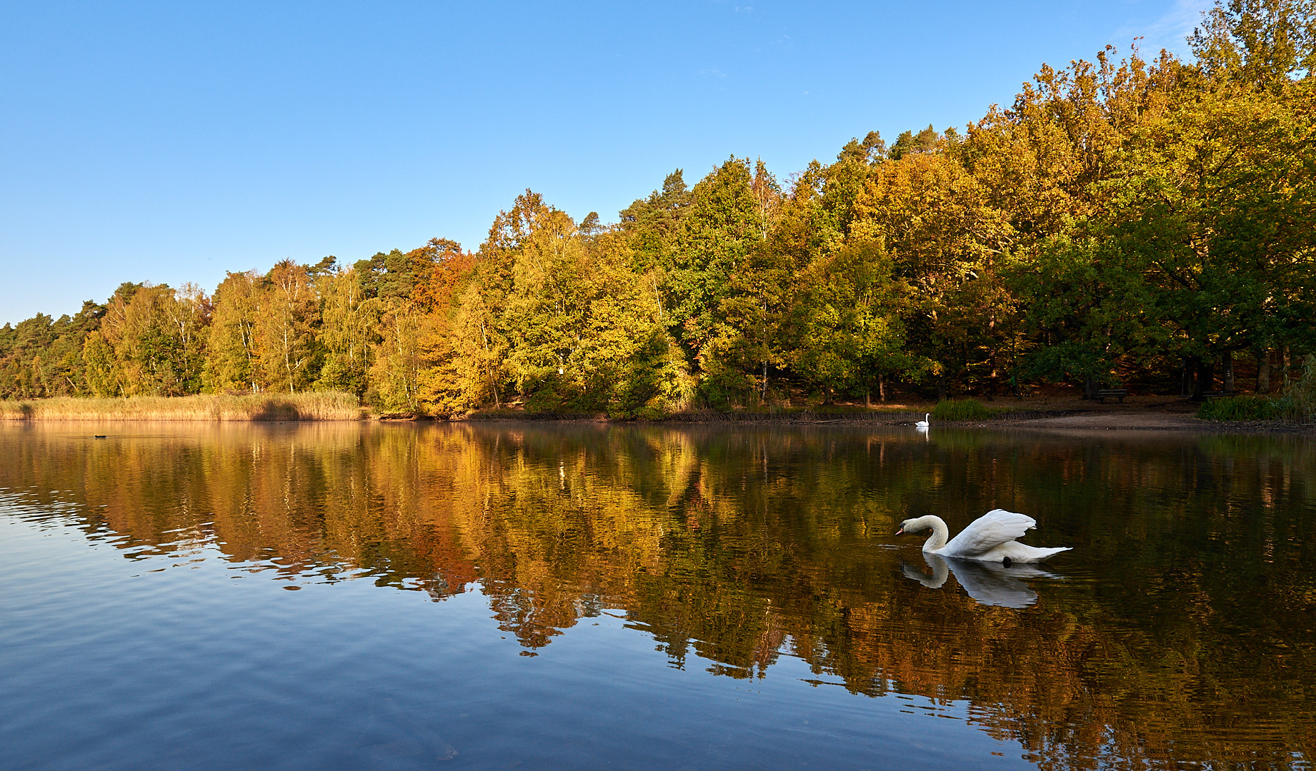 Morgenstimmung am Vogelwoog.