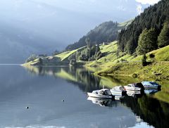 Morgenstimmung am Wägitalersee 2