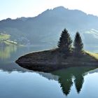 Morgenstimmung am Wägitalersee 4