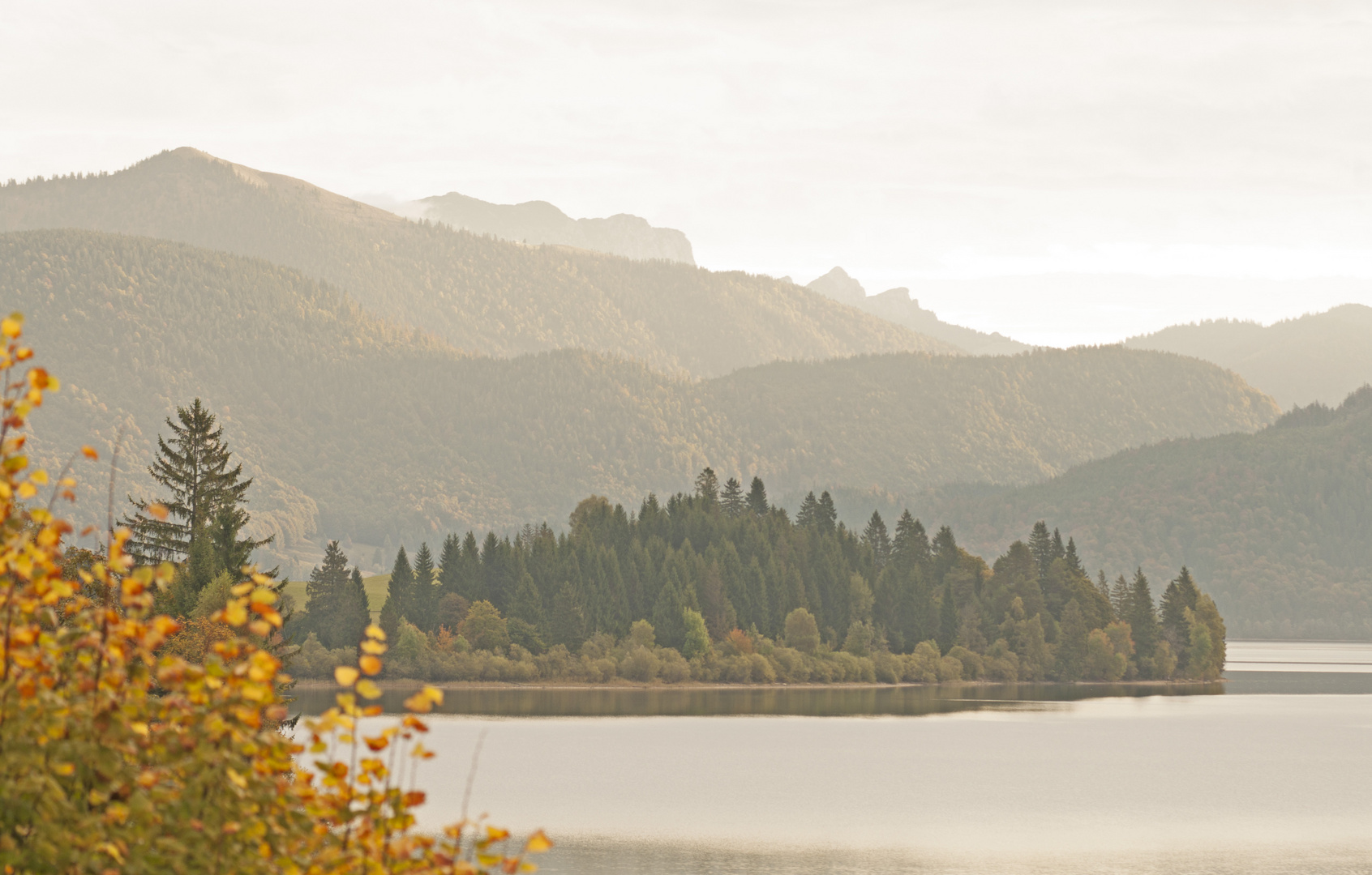 Morgenstimmung am Walchensee