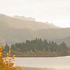 Morgenstimmung am Walchensee