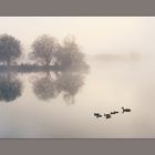 Morgenstimmung am Waldschacher See