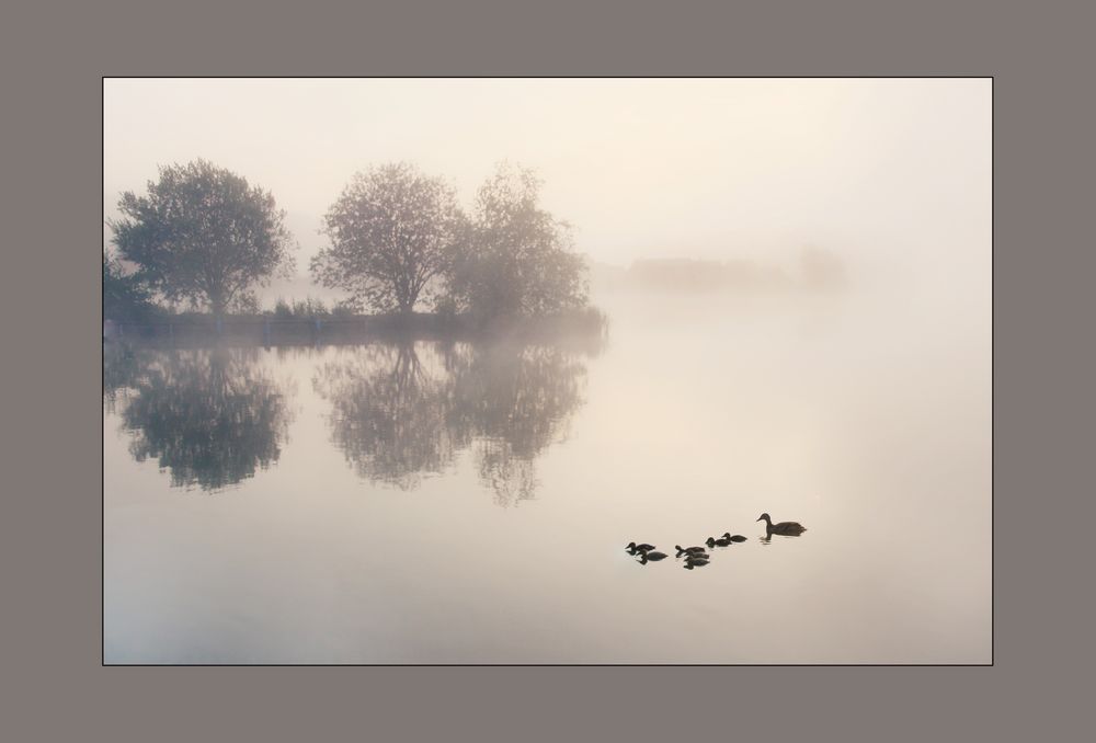 Morgenstimmung am Waldschacher See