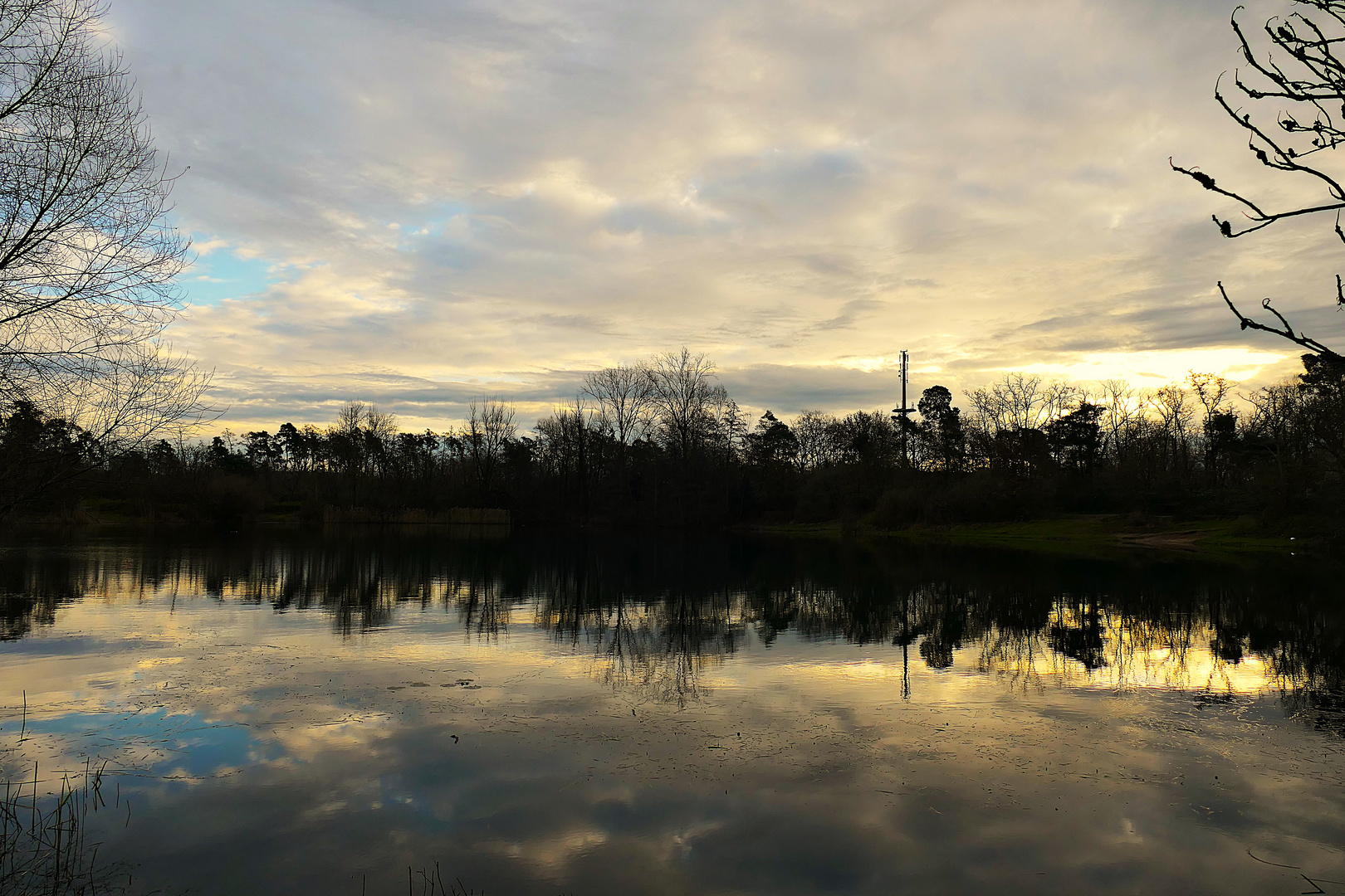 Morgenstimmung am Waldsee