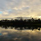 Morgenstimmung am Waldsee