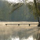 Morgenstimmung am Waldsee