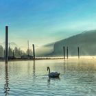 Morgenstimmung am Walensee 