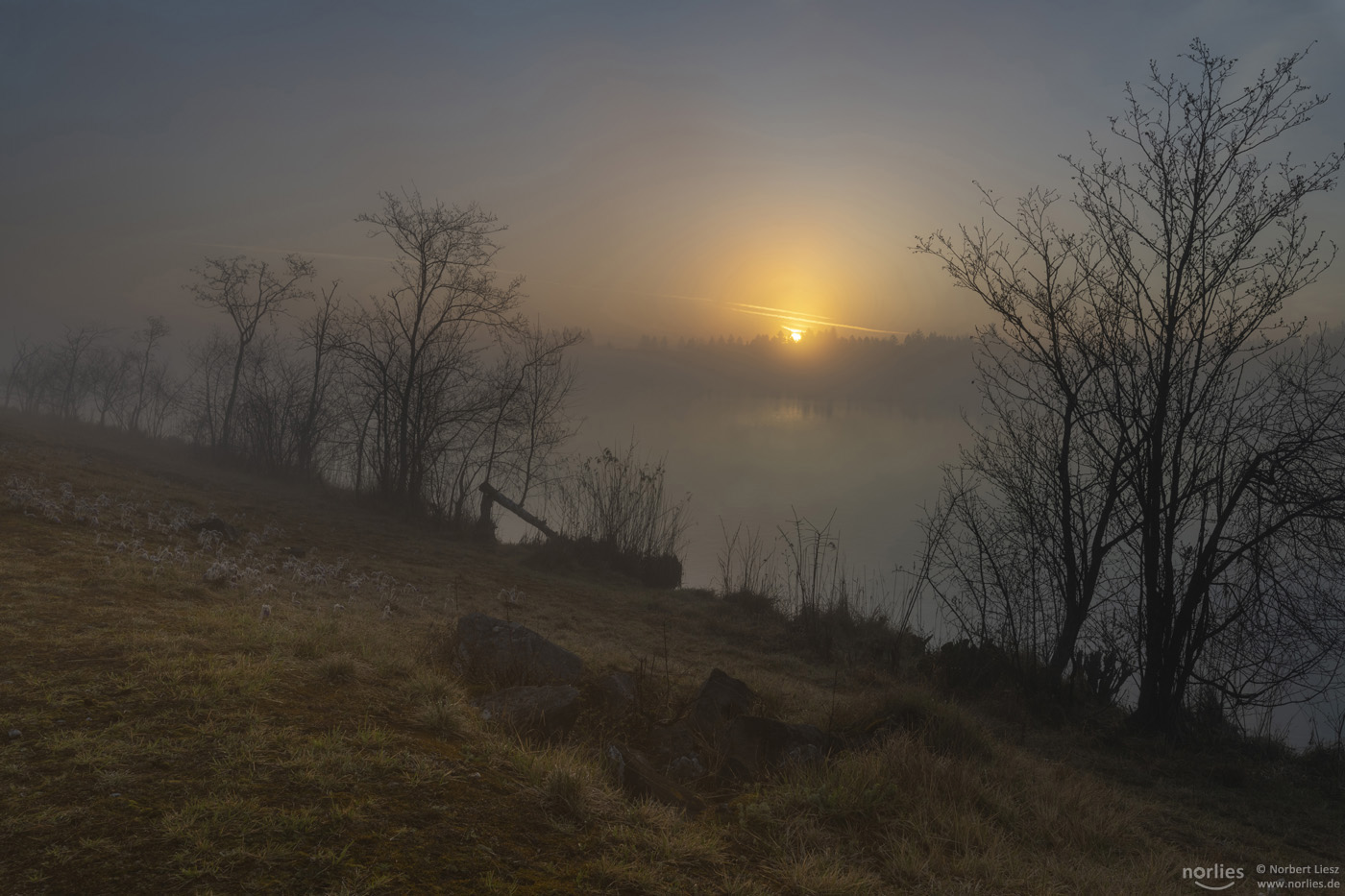 Morgenstimmung am Wasser