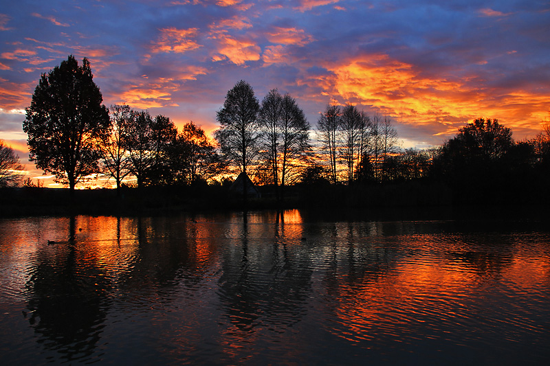 Morgenstimmung am Weiher