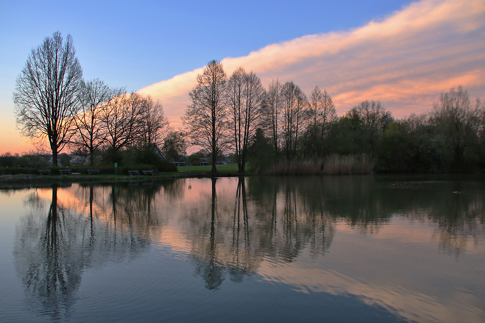 Morgenstimmung am Weiher