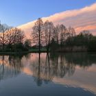 Morgenstimmung am Weiher