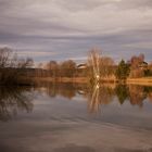 Morgenstimmung am Weiher