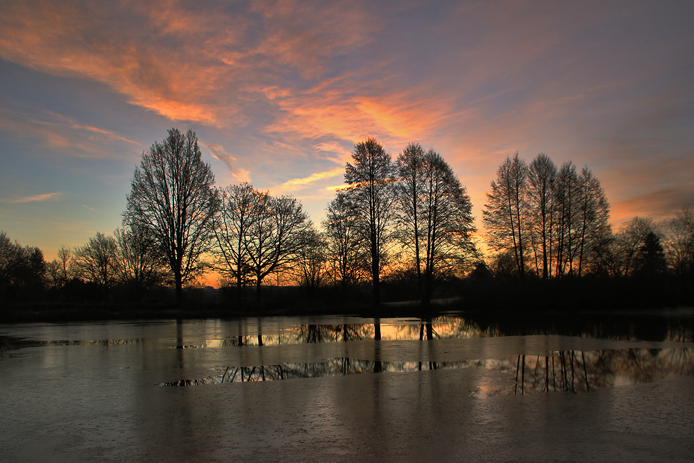 Morgenstimmung am Weiher