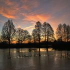 Morgenstimmung am Weiher