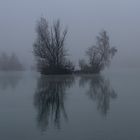 Morgenstimmung am Weitmannsee