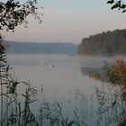 Morgenstimmung am Werbellinsee