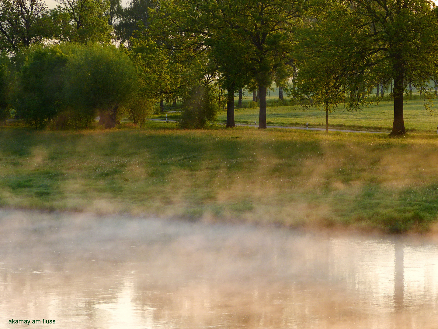 Morgenstimmung am Weserradweg in Polle