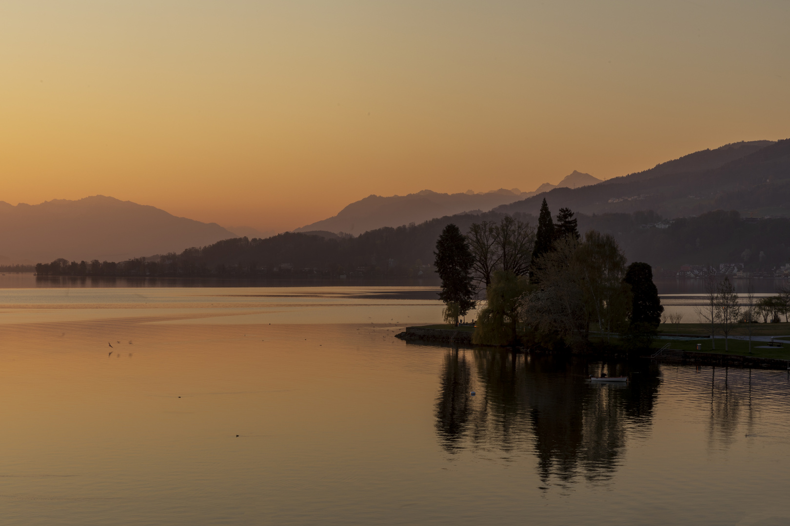 Morgenstimmung am Zürichsee