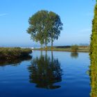 Morgenstimmung am Zuidlaardermeer